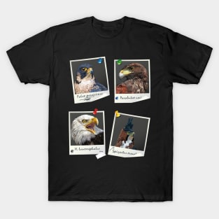 Birds of prey T-Shirt